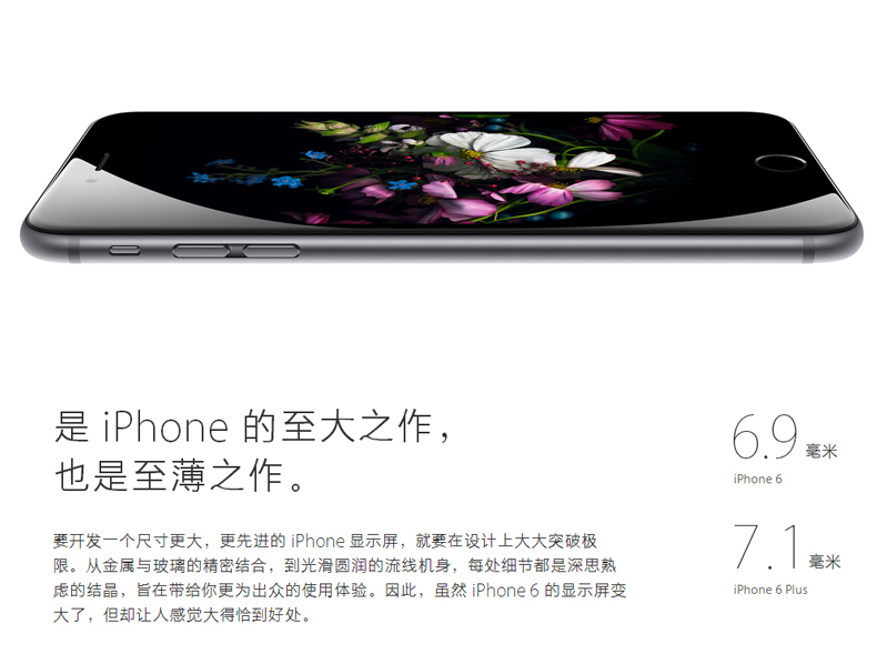 无信号